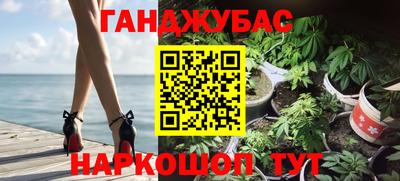 амф Кингисепп