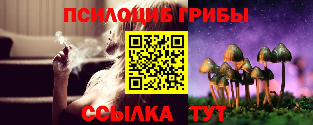 Галлюциногенные грибы GOLDEN TEACHER  как найти наркотики  Комсомольск-на-Амуре  Вход с VPN 